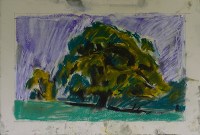 Tree in pastel 2 200x135
